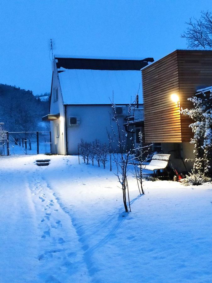 Apartman Lenka II Borsice Εξωτερικό φωτογραφία